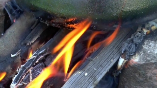 No Copyright Video, No Copyright Stock Footage, No Copyright Stock Video Clip