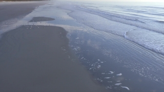 No Copyright Video, No Copyright Stock Footage, No Copyright Stock Video Clip