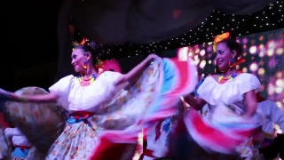 No Copyright Video, No Copyright Stock Footage, No Copyright Stock Video Clip