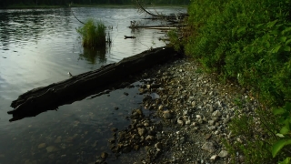 No Copyright Video, No Copyright Stock Footage, No Copyright Stock Video Clip