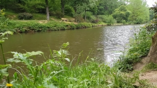 No Copyright Video, No Copyright Stock Footage, No Copyright Stock Video Clip