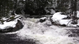 No Copyright Video, No Copyright Stock Footage, No Copyright Stock Video Clip