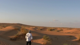 No Copyright Video, No Copyright Stock Footage, No Copyright Stock Video Clip