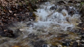 No Copyright Video, No Copyright Stock Footage, No Copyright Stock Video Clip