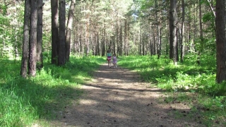 No Copyright Video, No Copyright Stock Footage, No Copyright Stock Video Clip