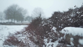 No Copyright Video, No Copyright Stock Footage, No Copyright Stock Video Clip