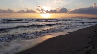 No Copyright Video, No Copyright Stock Footage, No Copyright Stock Video Clip