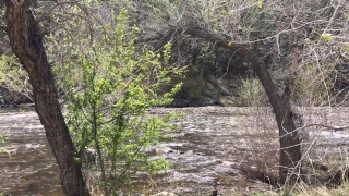 No Copyright Video, No Copyright Stock Footage, No Copyright Stock Video Clip