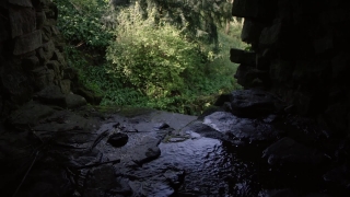 No Copyright Video, No Copyright Stock Footage, No Copyright Stock Video Clip