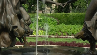 No Copyright Video, No Copyright Stock Footage, No Copyright Stock Video Clip