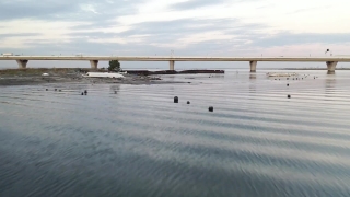 No Copyright Video, No Copyright Stock Footage, No Copyright Stock Video Clip