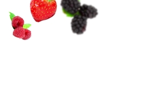 No Copyright Video, No Copyright Stock Footage, No Copyright Stock Video Clip