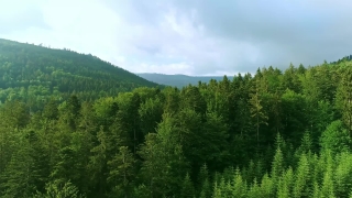 No Copyright Video, No Copyright Stock Footage, No Copyright Stock Video Clip