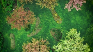 No Copyright Video, No Copyright Stock Footage, No Copyright Stock Video Clip