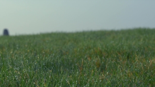 No Copyright Video, No Copyright Stock Footage, No Copyright Stock Video Clip