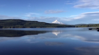 No Copyright Video, No Copyright Stock Footage, No Copyright Stock Video Clip