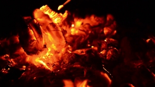 No Copyright Video, No Copyright Stock Footage, No Copyright Stock Video Clip