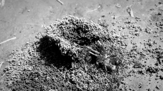 No Copyright Video, No Copyright Stock Footage, No Copyright Stock Video Clip