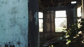 No Copyright Video, No Copyright Stock Footage, No Copyright Stock Video Clip