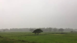 No Copyright Video, No Copyright Stock Footage, No Copyright Stock Video Clip