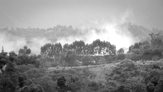 No Copyright Video, No Copyright Stock Footage, No Copyright Stock Video Clip