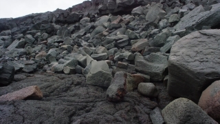 No Copyright Video, No Copyright Stock Footage, No Copyright Stock Video Clip