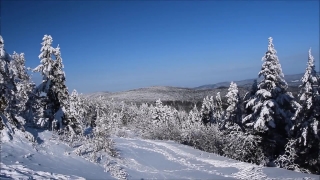 No Copyright Video, No Copyright Stock Footage, No Copyright Stock Video Clip