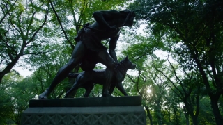 No Copyright Video, No Copyright Stock Footage, No Copyright Stock Video Clip