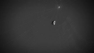 No Copyright Video, No Copyright Stock Footage, No Copyright Stock Video Clip