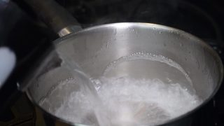 No Copyright Video, No Copyright Stock Footage, No Copyright Stock Video Clip