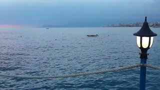 No Copyright Video, No Copyright Stock Footage, No Copyright Stock Video Clip