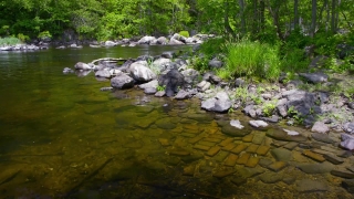 No Copyright Video, No Copyright Stock Footage, No Copyright Stock Video Clip