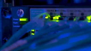 No Copyright Video, No Copyright Stock Footage, No Copyright Stock Video Clip