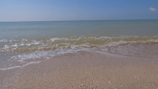 No Copyright Video, No Copyright Stock Footage, No Copyright Stock Video Clip