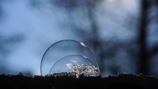 No Copyright Video, No Copyright Stock Footage, No Copyright Stock Video Clip