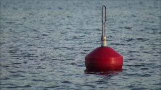 No Copyright Video, No Copyright Stock Footage, No Copyright Stock Video Clip