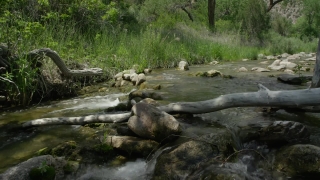 No Copyright Video, No Copyright Stock Footage, No Copyright Stock Video Clip