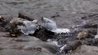 No Copyright Video, No Copyright Stock Footage, No Copyright Stock Video Clip