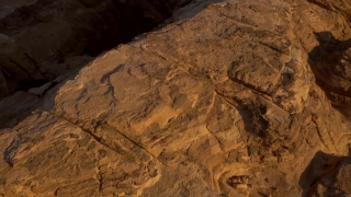 No Copyright Video, No Copyright Stock Footage, No Copyright Stock Video Clip