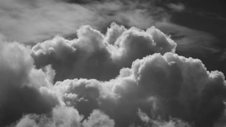 No Copyright Video, No Copyright Stock Footage, No Copyright Stock Video Clip