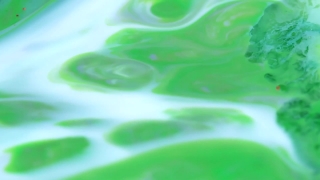 No Copyright Video, No Copyright Stock Footage, No Copyright Stock Video Clip