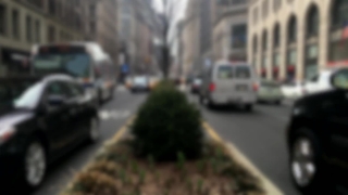 No Copyright Video, No Copyright Stock Footage, No Copyright Stock Video Clip