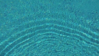 No Copyright Video, No Copyright Stock Footage, No Copyright Stock Video Clip