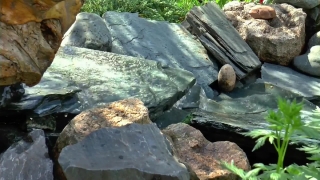 No Copyright Video, No Copyright Stock Footage, No Copyright Stock Video Clip