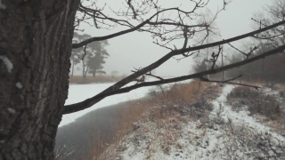 No Copyright Video, No Copyright Stock Footage, No Copyright Stock Video Clip