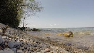 No Copyright Video, No Copyright Stock Footage, No Copyright Stock Video Clip