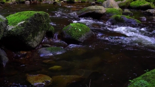 No Copyright Video, No Copyright Stock Footage, No Copyright Stock Video Clip