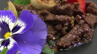 No Copyright Video, No Copyright Stock Footage, No Copyright Stock Video Clip