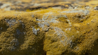 No Copyright Video, No Copyright Stock Footage, No Copyright Stock Video Clip