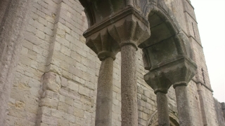 No Copyright Video, No Copyright Stock Footage, No Copyright Stock Video Clip